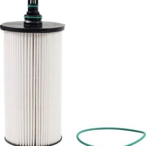 Filtro secundário de combustível Volvo 24137737