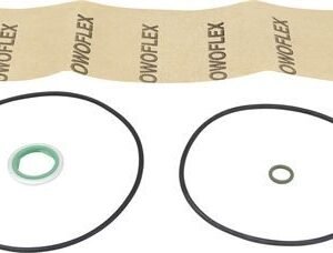 Kit de reparação do filtro ciclónico Scania 1769799S4