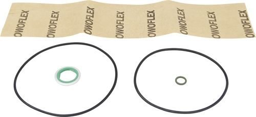 Kit de reparação do filtro ciclónico Scania 1769799S4