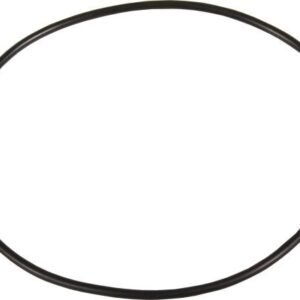 O-ring da boia do depósito Scania 1835751