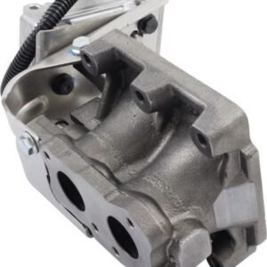 Válvula EGR Rema Germany 51.08150.6095